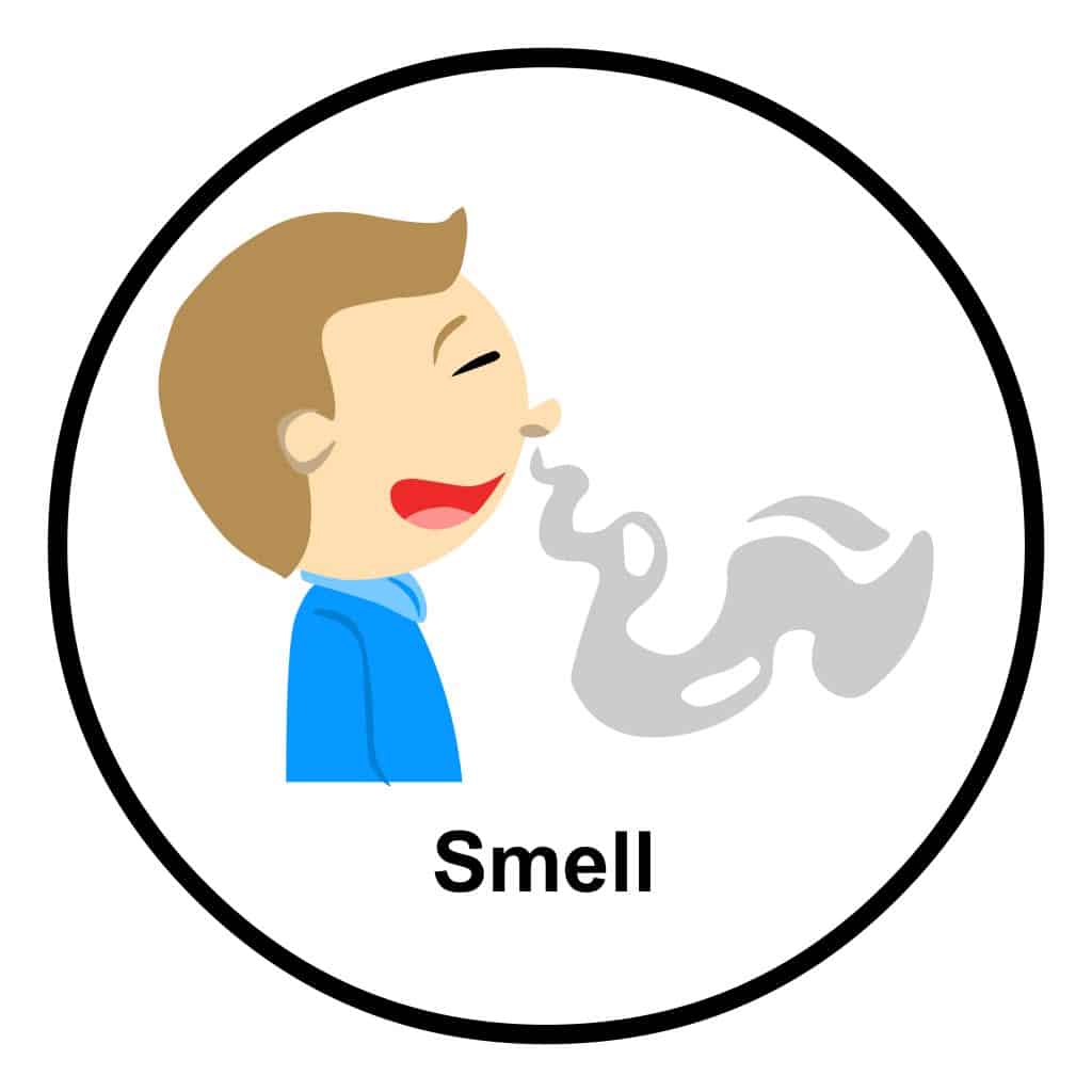 Stinky Visual Child Mental Health Week 2019: Using Sensory Processing to look after ...